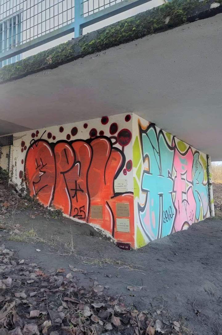 Sous face en béton couverte de tags uvergne Rhône Alpes