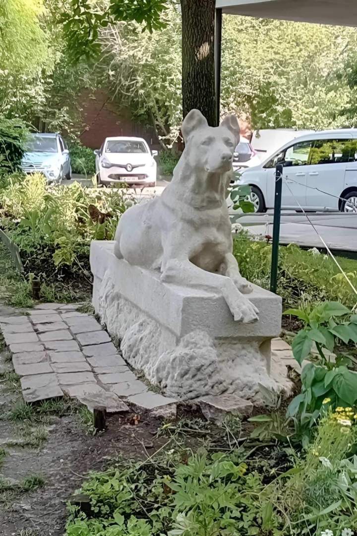Statue chien soigneusement entretenue Auvergne Rhône Alpes
